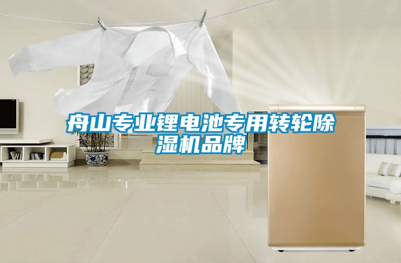 舟山專業(yè)鋰電池專用轉(zhuǎn)輪除濕機(jī)品牌
