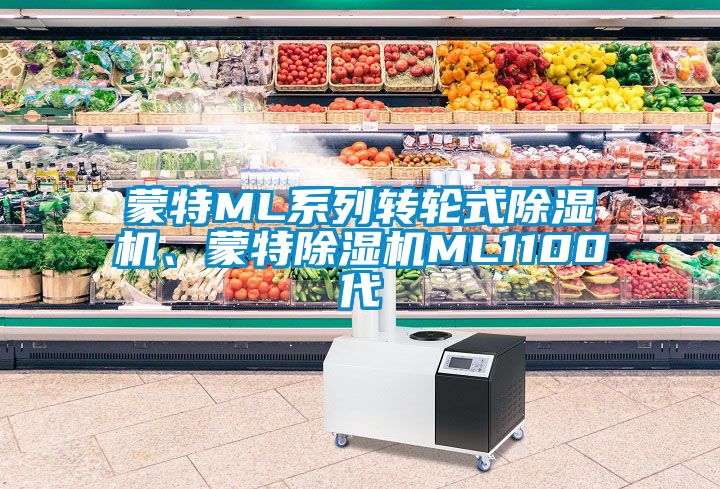 蒙特ML系列轉(zhuǎn)輪式除濕機、蒙特除濕機ML1100代