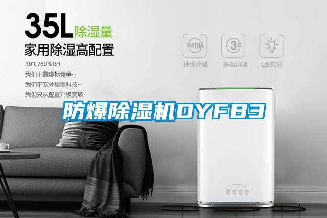 防爆除濕機DYFB3