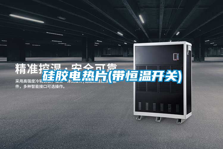 硅膠電熱片(帶恒溫開關)