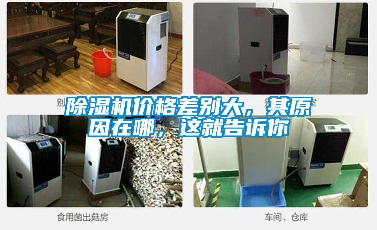 除濕機(jī)價格差別大，其原因在哪，這就告訴你