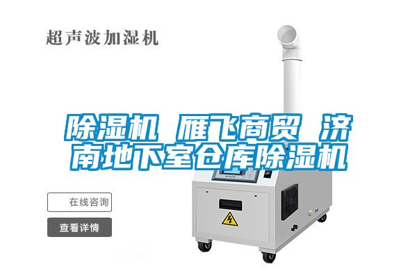 除濕機(jī) 雁飛商貿(mào) 濟(jì)南地下室倉庫除濕機(jī)