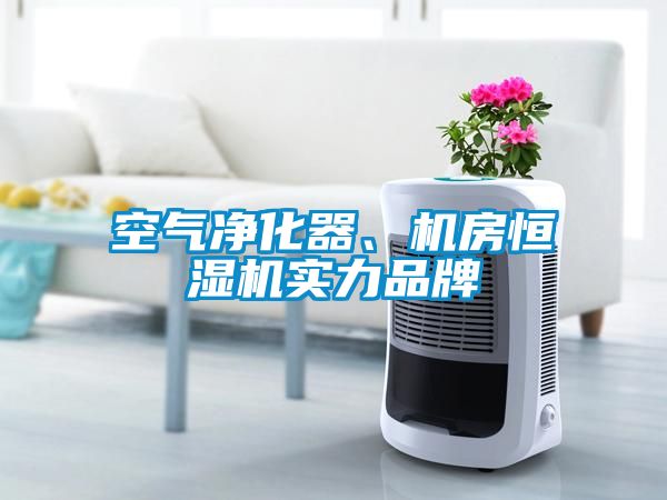 空氣凈化器、機(jī)房恒濕機(jī)實力品牌