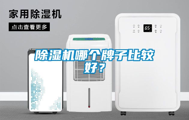 除濕機哪個牌子比較好？