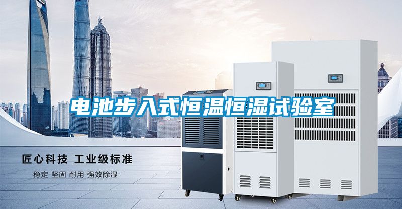 電池步入式恒溫恒濕試驗室
