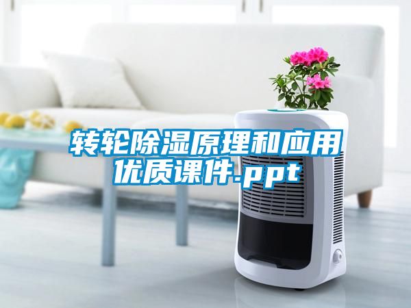 轉(zhuǎn)輪除濕原理和應(yīng)用優(yōu)質(zhì)課件.ppt