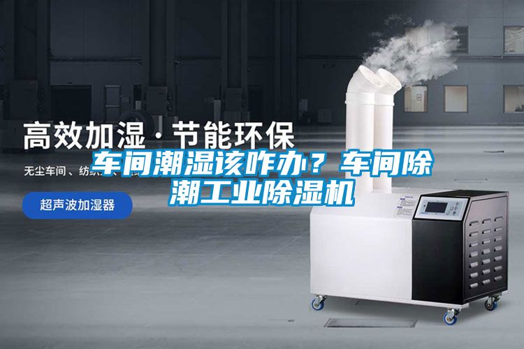 車(chē)間潮濕該咋辦？車(chē)間除潮工業(yè)除濕機(jī)