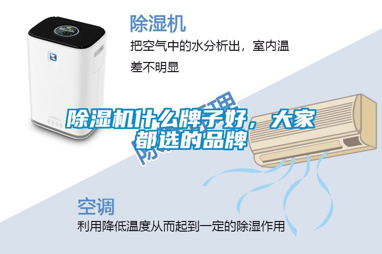 除濕機什么牌子好，大家都選的品牌