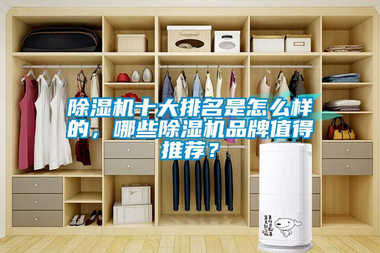 除濕機(jī)十大排名是怎么樣的，哪些除濕機(jī)品牌值得推薦？