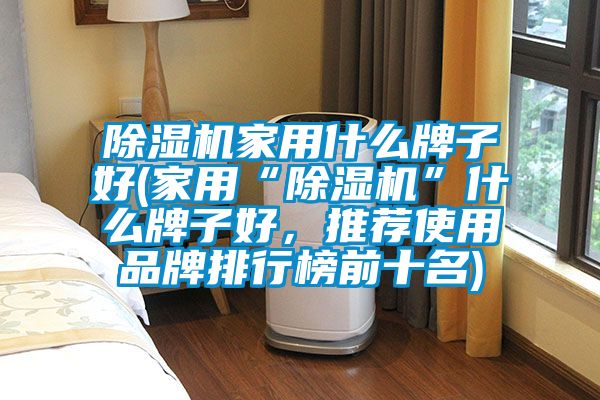 除濕機家用什么牌子好(家用“除濕機”什么牌子好，推薦使用品牌排行榜前十名)