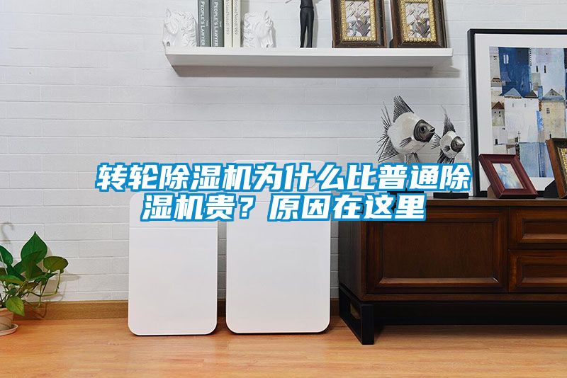 轉(zhuǎn)輪除濕機(jī)為什么比普通除濕機(jī)貴？原因在這里