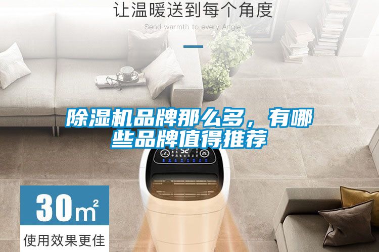 除濕機(jī)品牌那么多，有哪些品牌值得推薦