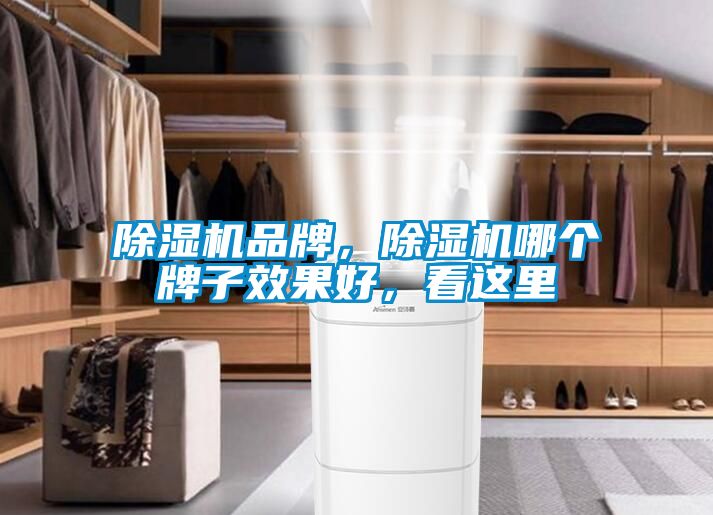 除濕機(jī)品牌，除濕機(jī)哪個牌子效果好，看這里
