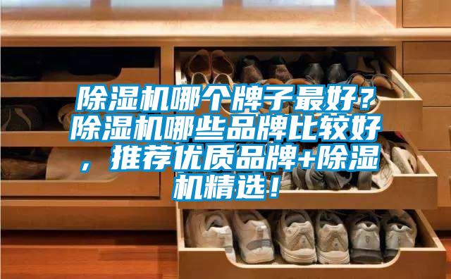 除濕機(jī)哪個(gè)牌子最好？除濕機(jī)哪些品牌比較好，推薦優(yōu)質(zhì)品牌+除濕機(jī)精選！