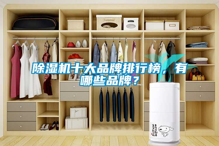 除濕機十大品牌排行榜，有哪些品牌？
