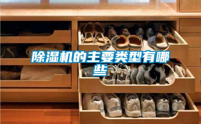 除濕機的主要類型有哪些