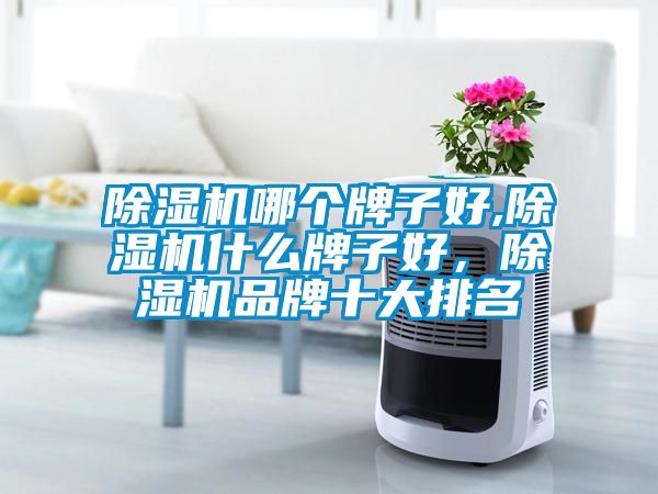 除濕機哪個牌子好,除濕機什么牌子好，除濕機品牌十大排名
