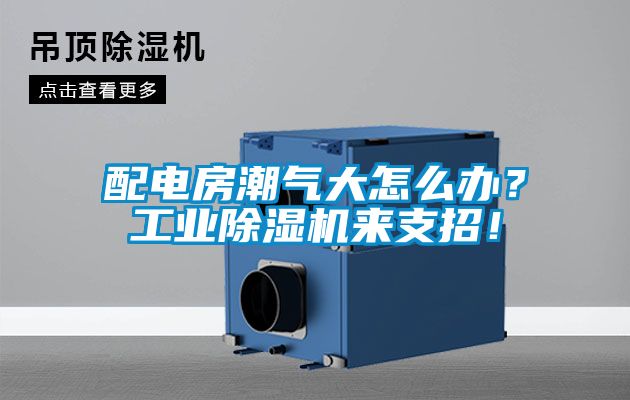配電房潮氣大怎么辦？工業(yè)除濕機來支招！