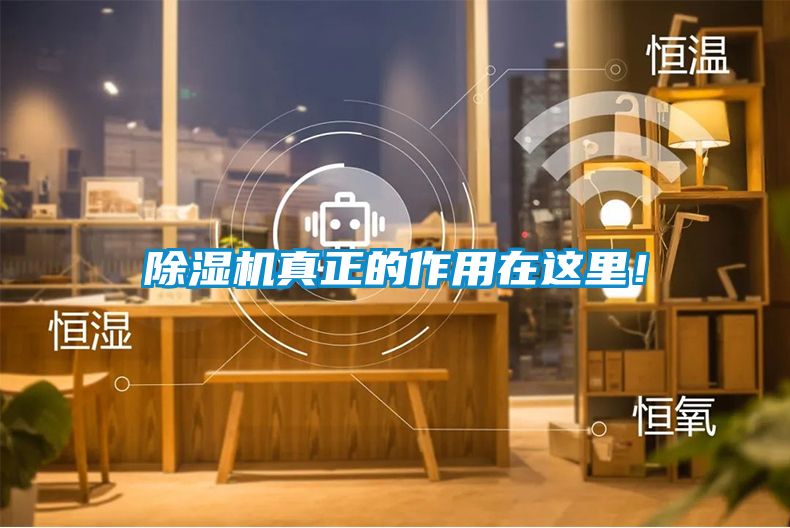 除濕機(jī)真正的作用在這里！