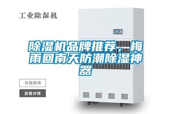 除濕機品牌推薦，梅雨回南天防潮除濕神器