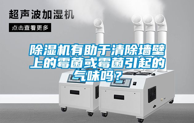 除濕機有助于清除墻壁上的霉菌或霉菌引起的氣味嗎？