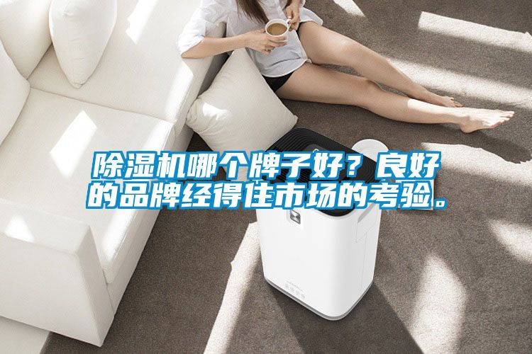 除濕機(jī)哪個(gè)牌子好？良好的品牌經(jīng)得住市場(chǎng)的考驗(yàn)。