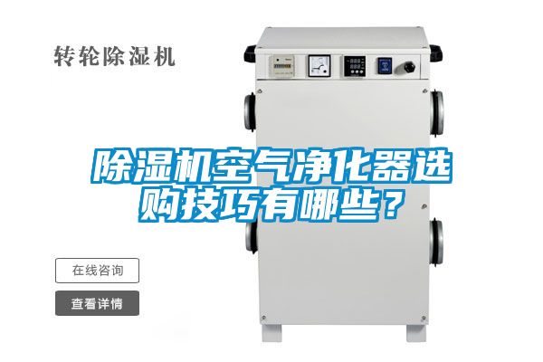 除濕機(jī)空氣凈化器選購技巧有哪些？