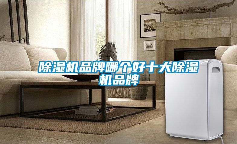 除濕機(jī)品牌哪個好十大除濕機(jī)品牌