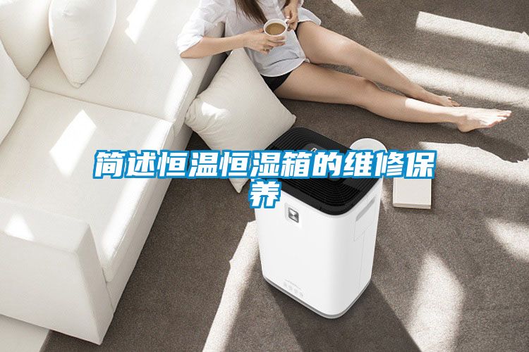 簡(jiǎn)述恒溫恒濕箱的維修保養(yǎng)