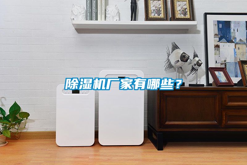 除濕機(jī)廠家有哪些？