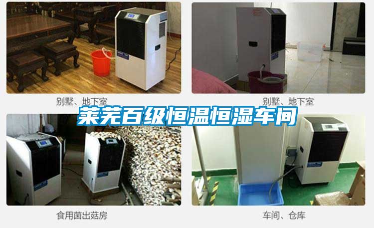 萊蕪百級(jí)恒溫恒濕車間