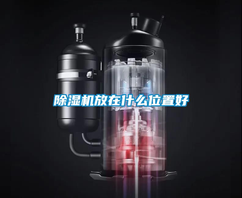 除濕機(jī)放在什么位置好