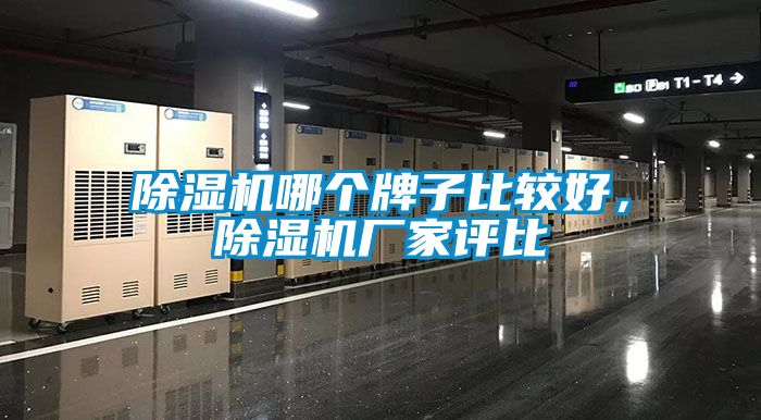 除濕機(jī)哪個(gè)牌子比較好，除濕機(jī)廠家評比