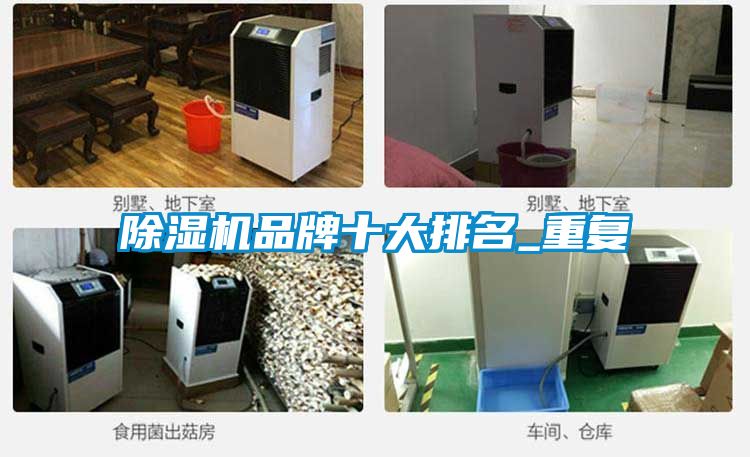 除濕機品牌十大排名_重復(fù)