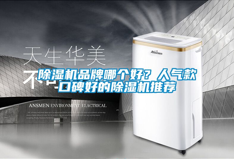 除濕機(jī)品牌哪個(gè)好？人氣款口碑好的除濕機(jī)推薦