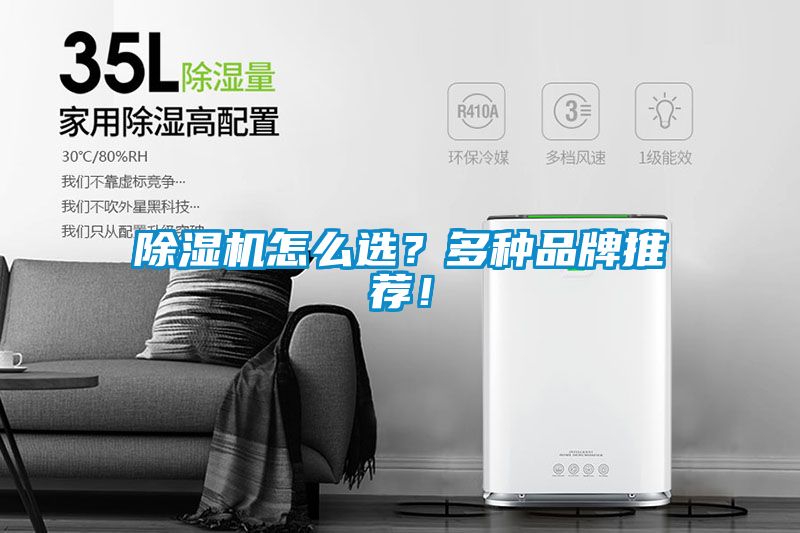 除濕機(jī)怎么選？多種品牌推薦！