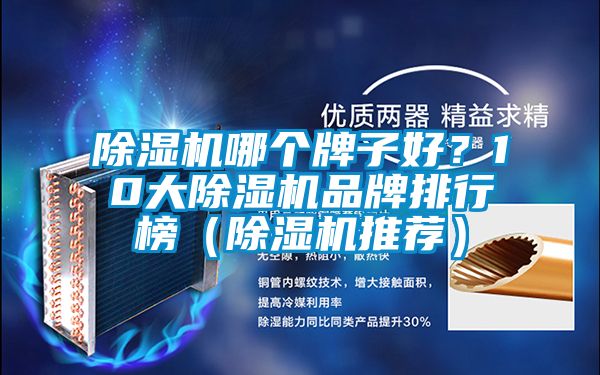 除濕機哪個牌子好？10大除濕機品牌排行榜（除濕機推薦）