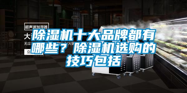 除濕機(jī)十大品牌都有哪些？除濕機(jī)選購的技巧包括