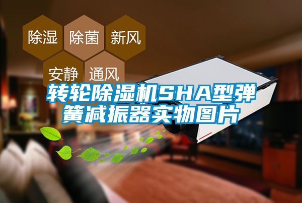 轉(zhuǎn)輪除濕機(jī)SHA型彈簧減振器實(shí)物圖片