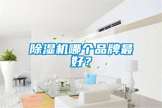 除濕機哪個品牌最好？