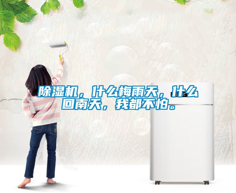 除濕機，什么梅雨天，什么回南天，我都不怕。