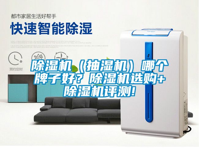 除濕機(jī)（抽濕機(jī)）哪個(gè)牌子好？除濕機(jī)選購+除濕機(jī)評(píng)測(cè)!