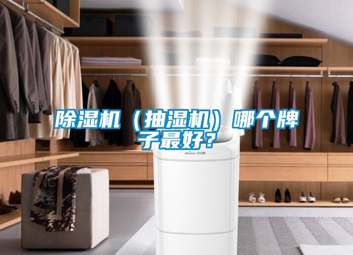 除濕機(jī)（抽濕機(jī)）哪個(gè)牌子最好？