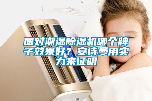 面對潮濕除濕機哪個牌子效果好？安詩曼用實力來證明
