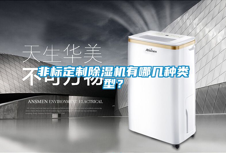 非標定制除濕機有哪幾種類型？