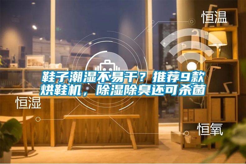 鞋子潮濕不易干？推薦9款烘鞋機，除濕除臭還可殺菌