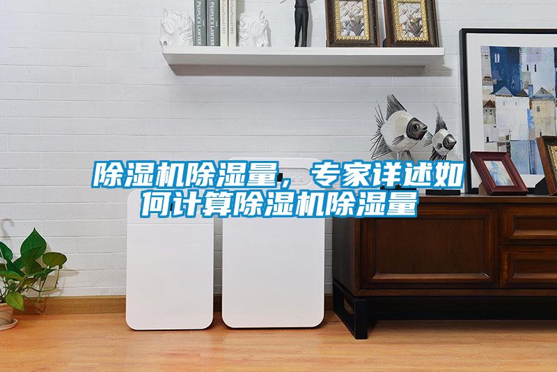 除濕機(jī)除濕量，專(zhuān)家詳述如何計(jì)算除濕機(jī)除濕量