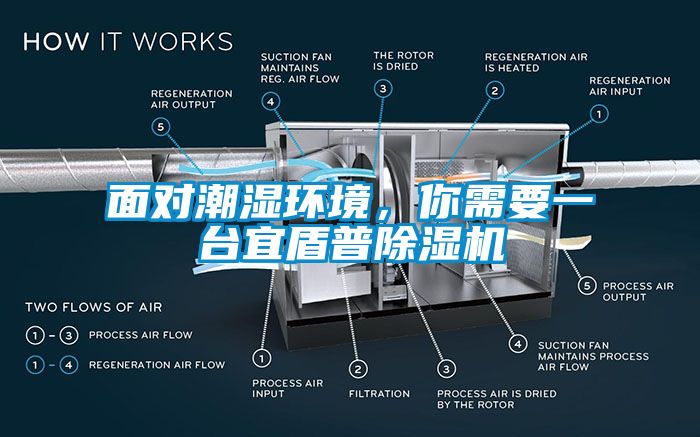 面對潮濕環(huán)境，你需要一臺宜盾普除濕機