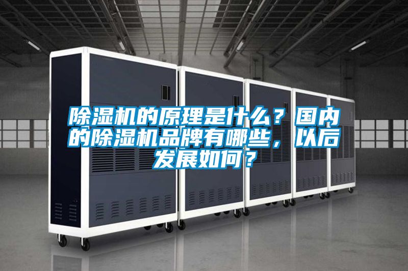 除濕機(jī)的原理是什么？國(guó)內(nèi)的除濕機(jī)品牌有哪些，以后發(fā)展如何？