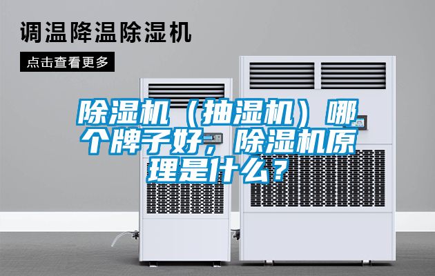 除濕機(jī)（抽濕機(jī)）哪個(gè)牌子好，除濕機(jī)原理是什么？